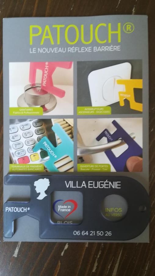 Villa Eugenie Onzain Eksteriør billede